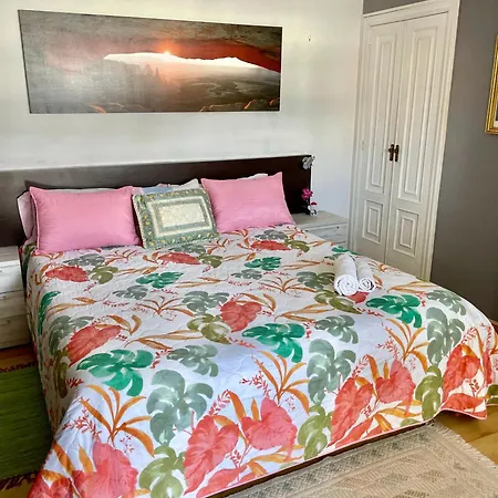 Lejlighed Amplitud Y Comodidad En Centro