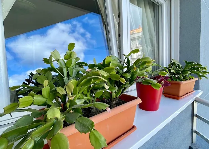 Lejlighed Amplitud Y Comodidad En Centro