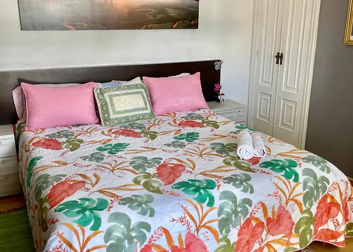 Daire Amplitud Y Comodidad En Centro